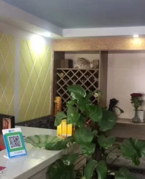 松江老城非常不错的四推店